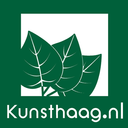 Kunsthaag.nl