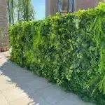 Muiden 4 Jungle kunsthaag buiten in Muiden