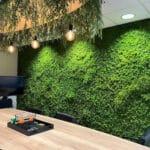 Kunst moswand in de vergaderruimte met kunstplanten rondom de plafondlampen.