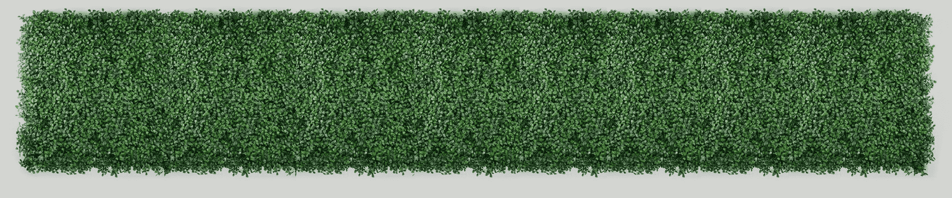 Buxus kunsthaag